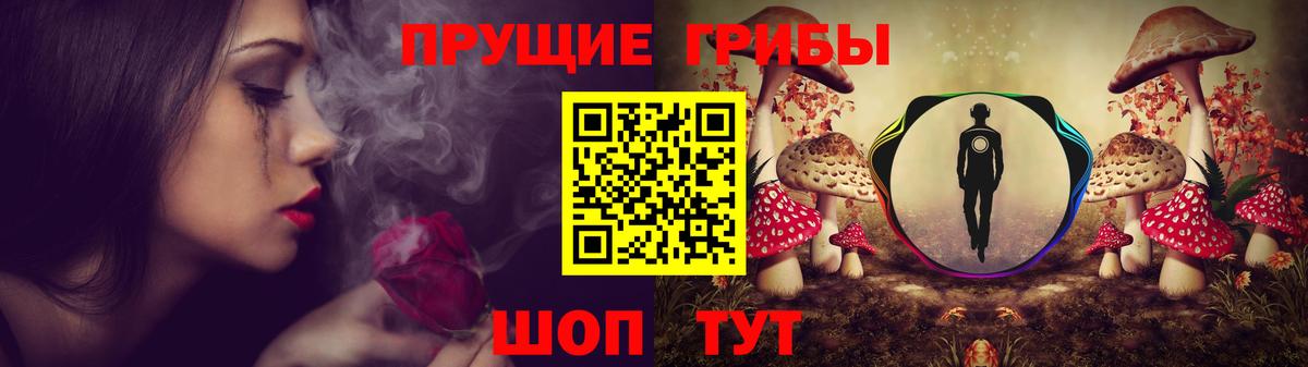 Гатчина  Галлюциногенные грибы MAGIC MUSHROOMS  Вход с VPN  Галлюциногенные грибы Psilocybe 
